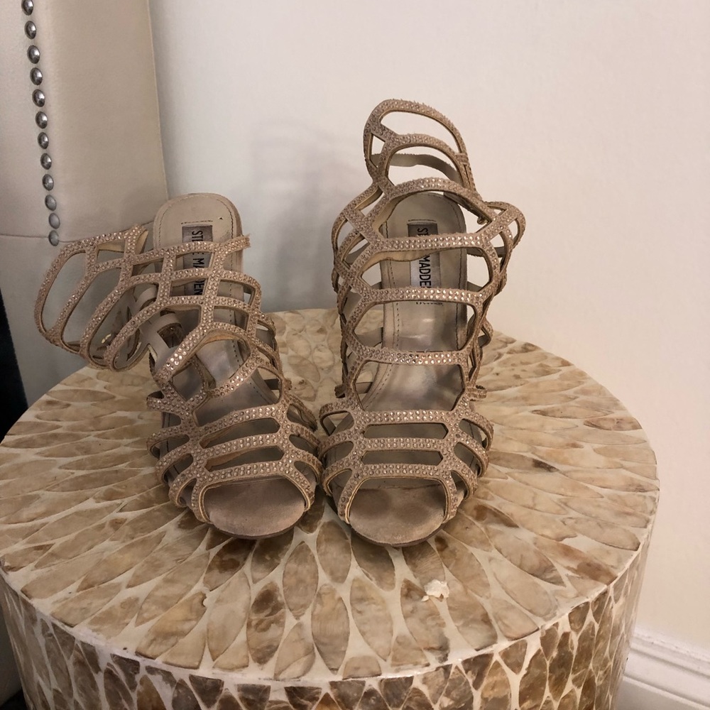 Steve madden